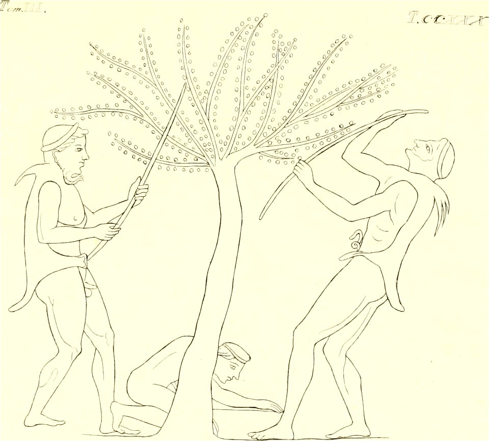 INGHIRAMI(1835) Pitture di vasi fittili Vol3 T230 (14784558832)