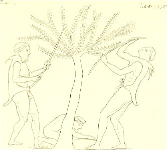 INGHIRAMI(1835) Pitture di vasi fittili Vol3 T230 (14784558832)