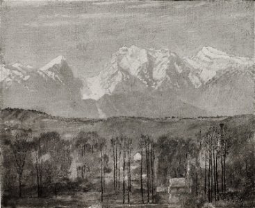 Ivan Franke - Krajina z drevjem