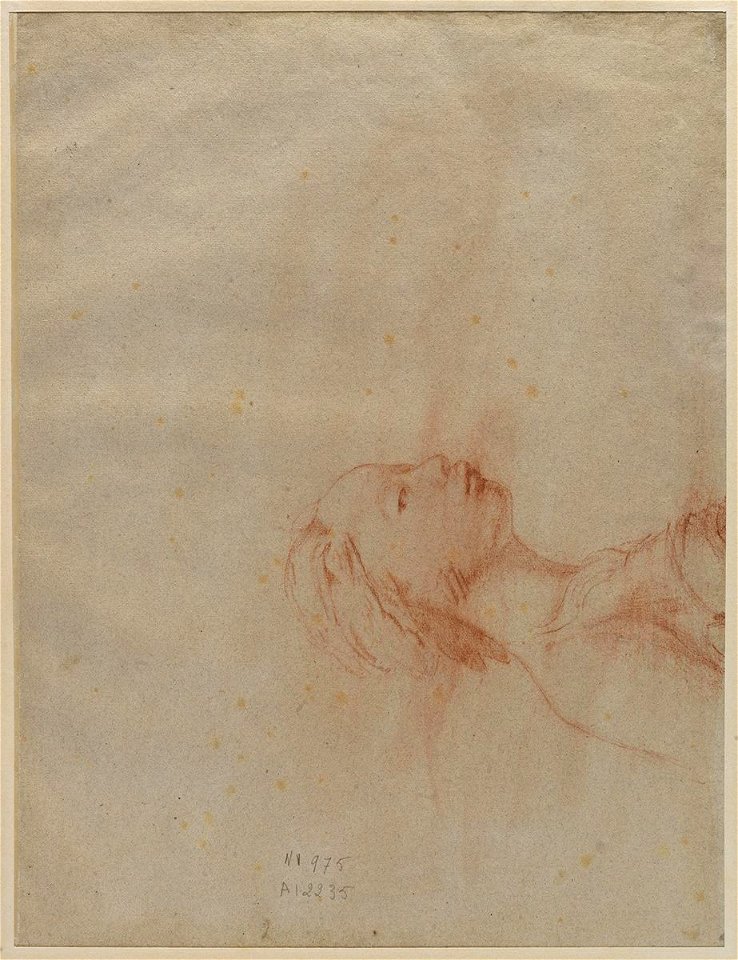 Ingres - Buste de femme de profil à droite (verso), 2235-06