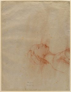 Ingres - Buste de femme de profil à droite (verso), 2235-06