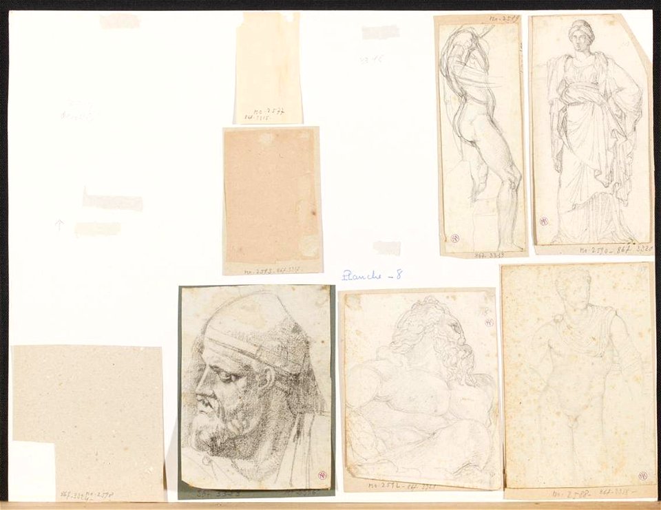 Ingres - MI.867.3323, Tête d'un barbare de la colonne Trajane