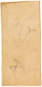 Ingres - MI.867.2612, César