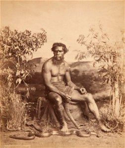 J W. Lindt - Portrait of an Aboriginal man - Google Art Project. Free illustration for personal and commercial use.
