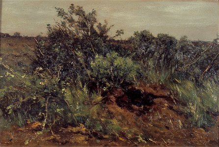 J.H.L. de Haas - Struiken in weide - R572 - Cultural Heritage Agency of the Netherlands Art Collection
