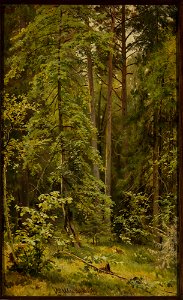 Iwan Szyszkin - Forest - M.Ob.2187 - National Museum in Warsaw