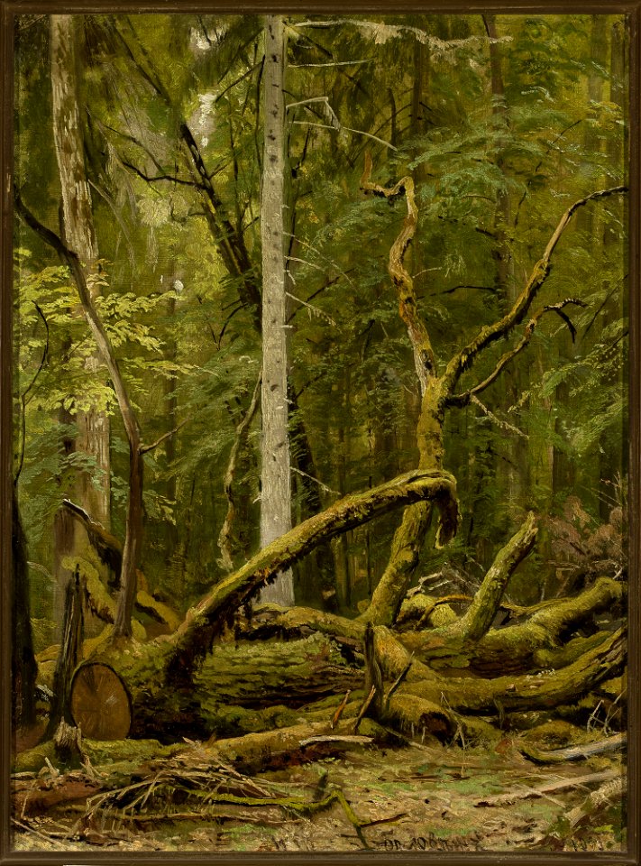 Iwan Szyszkin - Cut down oak - M.Ob.2188 - National Museum in Warsaw