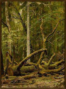 Iwan Szyszkin - Cut down oak - M.Ob.2188 - National Museum in Warsaw