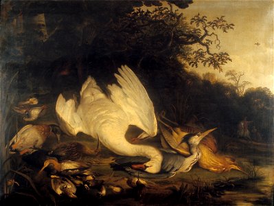 J.J. II de Wet - Zwaan, aalscholver en andere dode vogels in een landschap - NK2570 - Delft Municipal Museums
