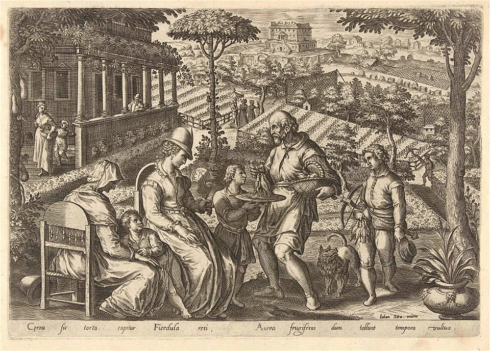 Jacht op de grasmus