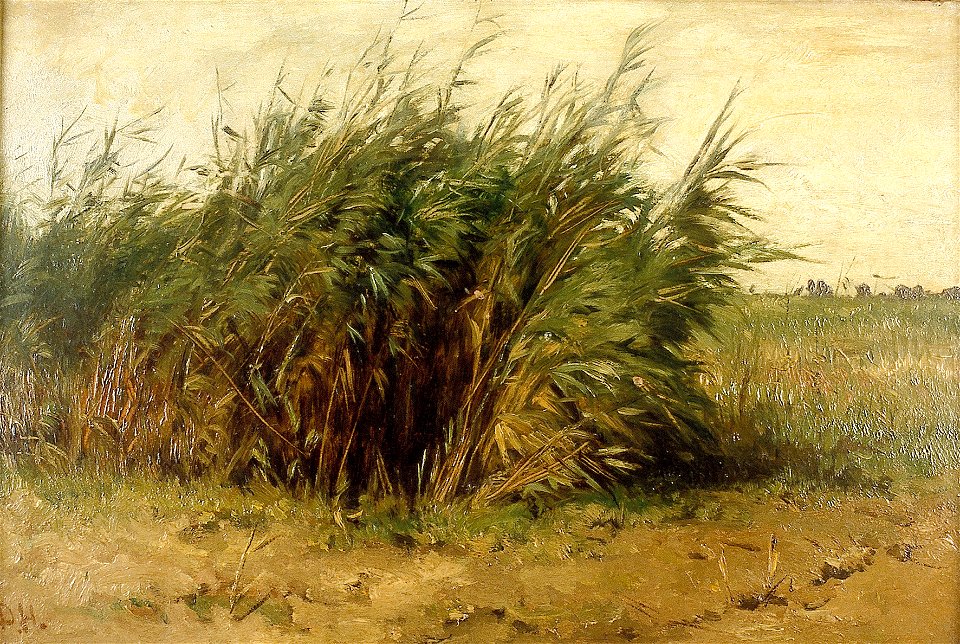 J.H.L. de Haas - Riet - R587 - Cultural Heritage Agency of the Netherlands Art Collection