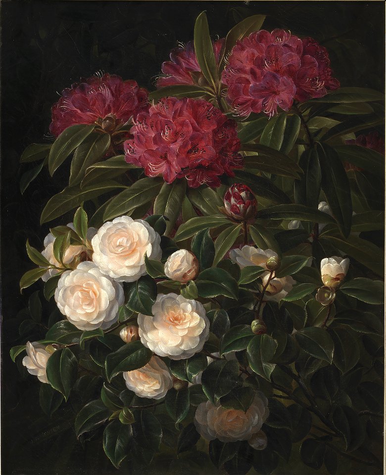 J.L. Jensen - Kamelier og rhododendron - KMS1063 - Statens Museum for Kunst