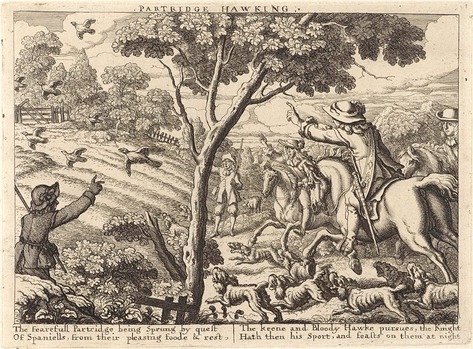 Jacht op patrijsvogels