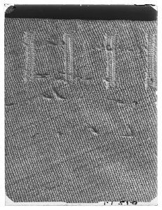 Jacka av grå kamlott. Tillhört Karl X Gustav (1622-1660) - Livrustkammaren - 79540-negative