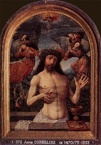 Jacob Cornelisz. van Oostsanen - Man of Sorrows - WGA05263