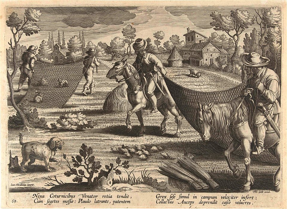 Jacht op kwartels en konijnen