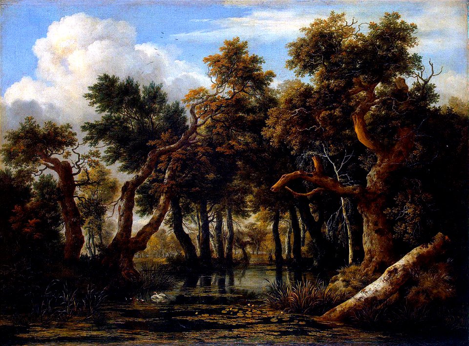 Jacob Isaaksz. van Ruisdael 015