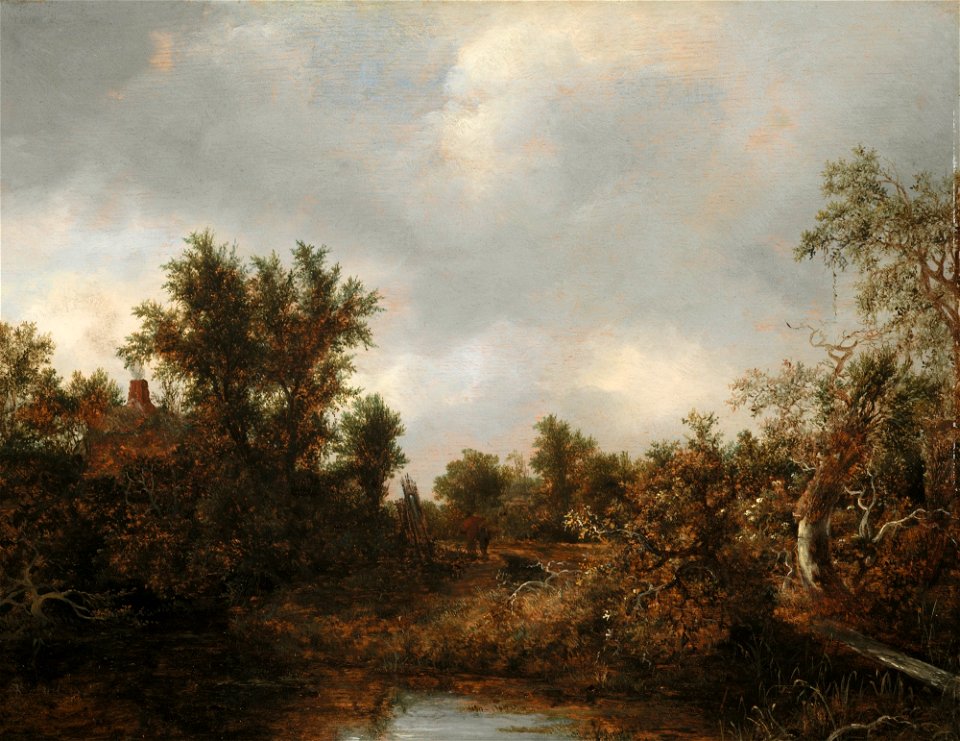 Jacob Isaaksz van Ruisdael - Landscape - F67.4 - Detroit Institute of Arts