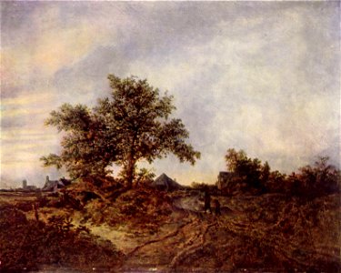 Jacob Isaaksz. van Ruisdael 011