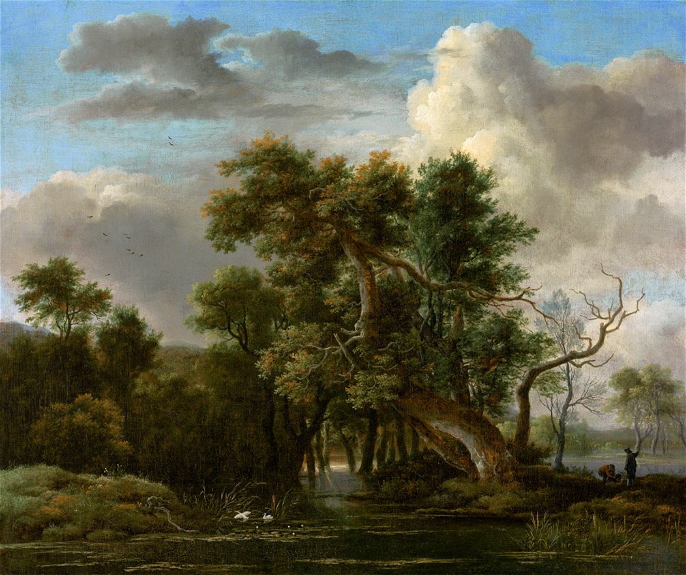 Jacob van Ruisdael - A Woodland Pool