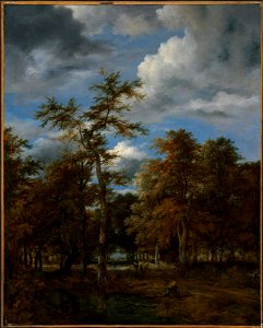 Jacob van Ruisdael - Woodland Vistas