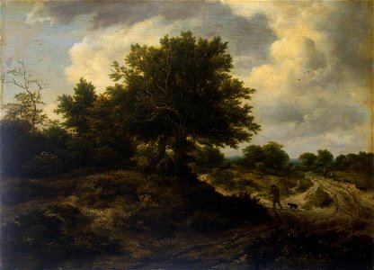 Jacob Isaacksz. van Ruisdael - Landscape with a Traveller - WGA20473