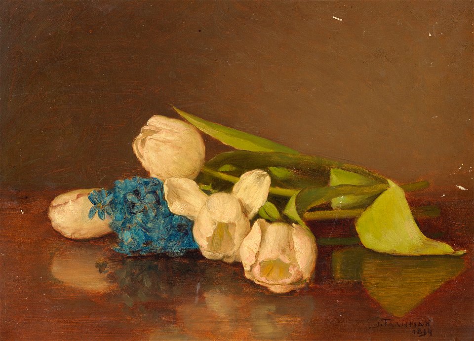 Jacob Taanman - Liggende tulpen - SA 3154 - Amsterdam Museum