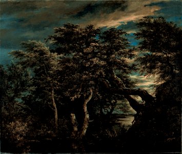 Jacob Isaacksz van Ruisdael - A Marsh in a Forest at Dusk - Google Art Project