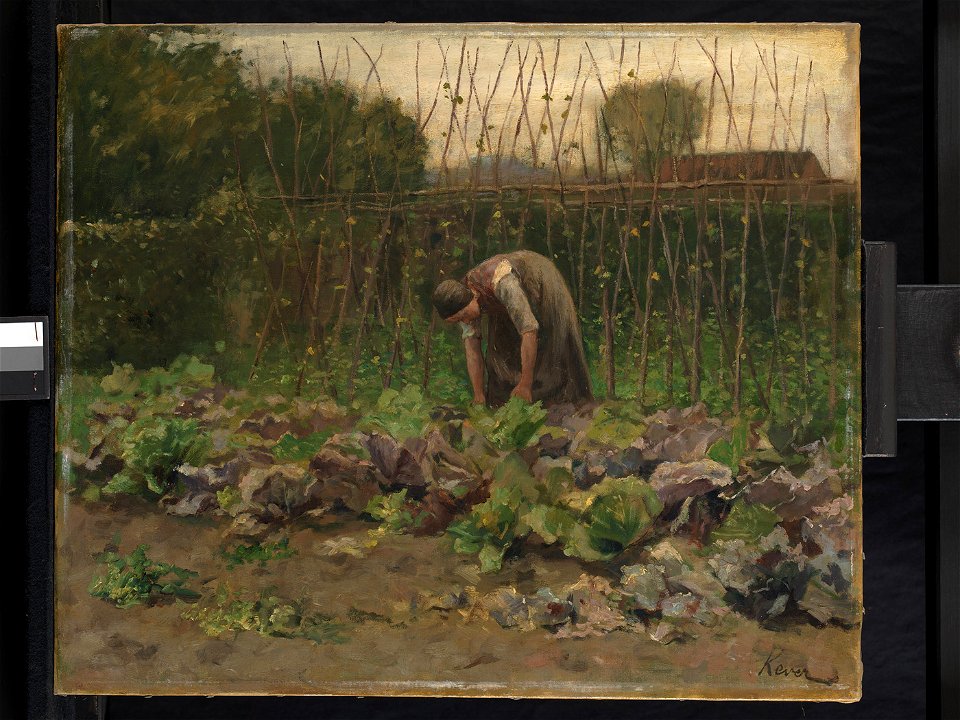 Jacob Simon Hendrik Kever - Kool plukken - SA 1760 - Amsterdam Museum