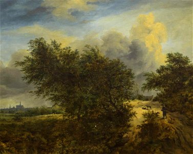 Jacob van Ruisdael - Landscape Showing Haarlem Church - 1940-12-2 - Auckland Art Gallery