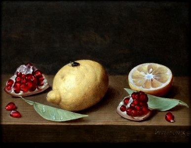 Jacob van Hulsdonck - Still life of lemons and pomegranate. Free illustration for personal and commercial use.