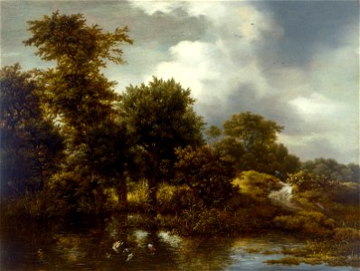 Jacob van Ruisdael - A Wooded Landscape with a Pond - 2001.80 - Museum of Fine Arts