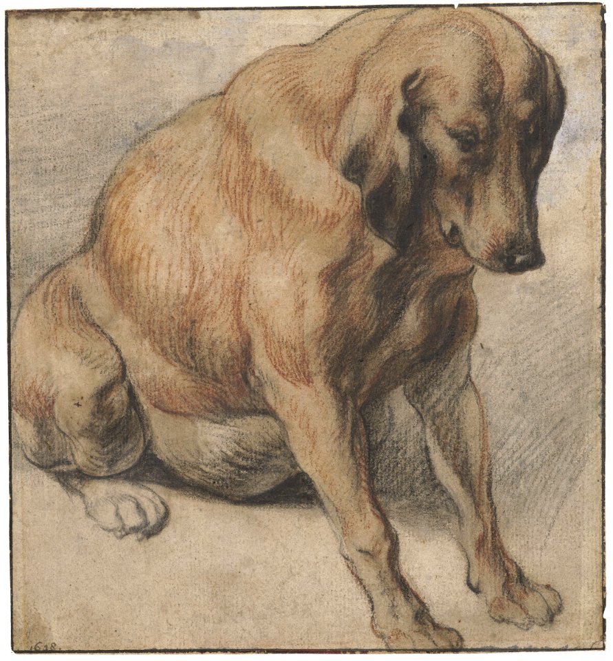 Jacob Jordaens (I) - Sitting pregnant dog