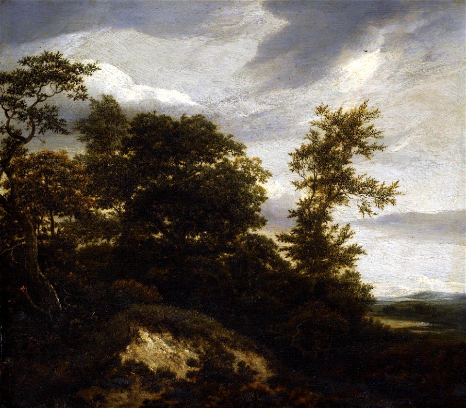 Jacob van Ruisdael - Wooded Dune Landscape