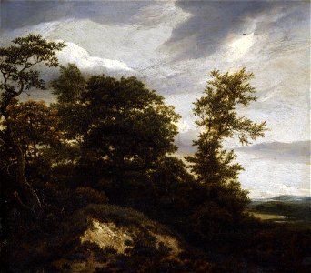 Jacob van Ruisdael - Wooded Dune Landscape