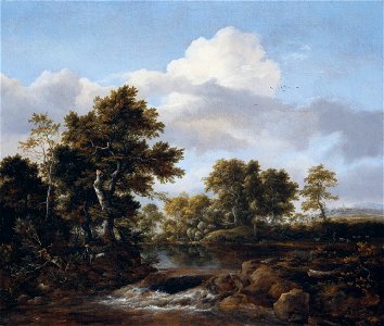 Jacob Isaaksz van Ruisdael - Wooded Landscape with a Stream - 68.298 - Detroit Institute of Arts
