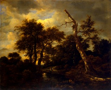 Jacob van Ruisdael - Rivulet in a forest