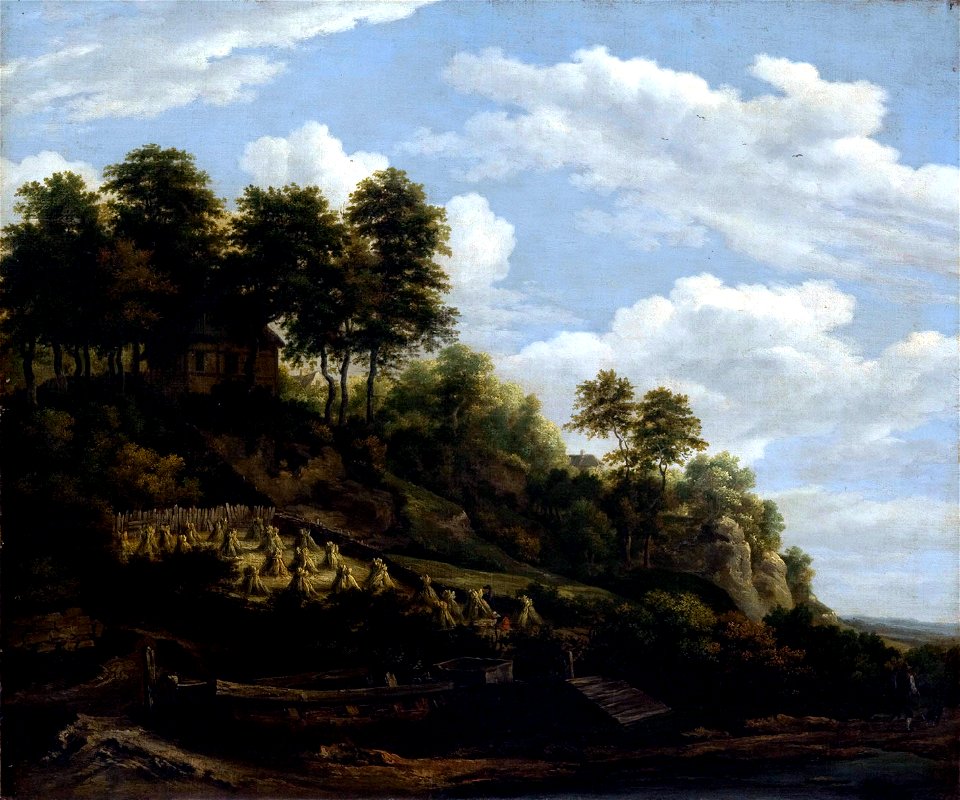 Jacob van Ruisdael - Sloping Field