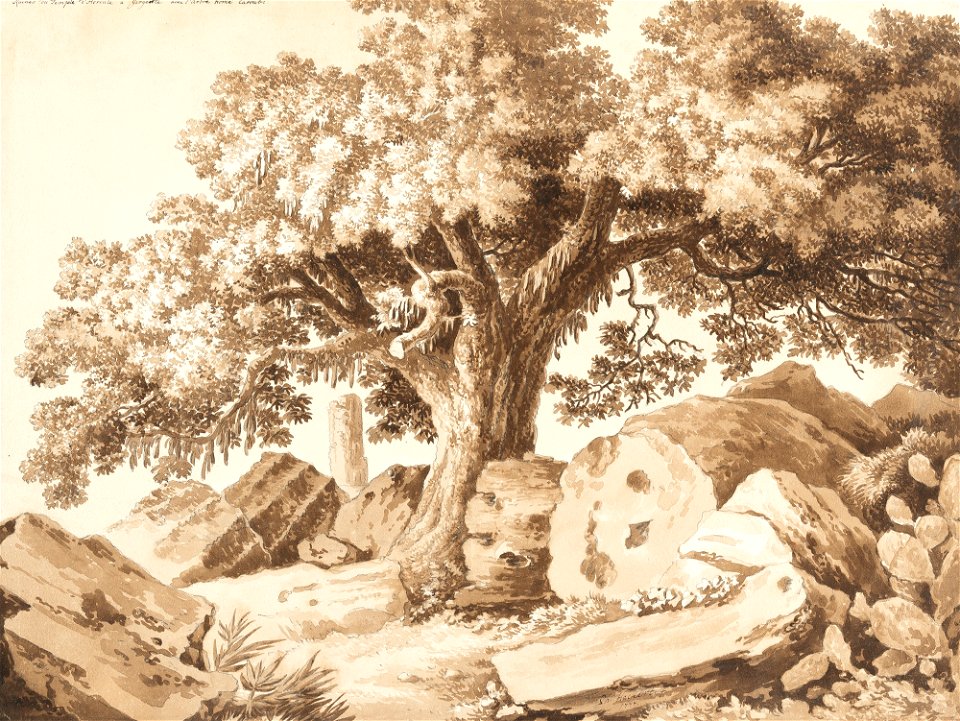 Jacob Philipp Hackert Die Ruinen des Heraklestempels in Agrigent