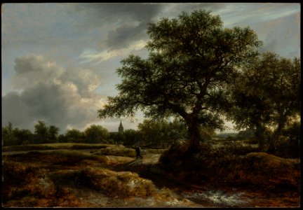 Jacob van Ruisdael - Landscape with a Village in the Distance MET. Free illustration for personal and commercial use.