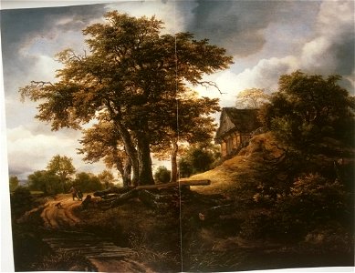 Jacob van Ruisdael - The Cottage under the Tree
