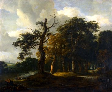 Jacob van Ruysdael - A Road through an Oak Wood - Google Art Project. Free illustration for personal and commercial use.
