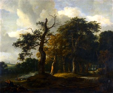 Jacob van Ruysdael - A Road through an Oak Wood - Google Art Project