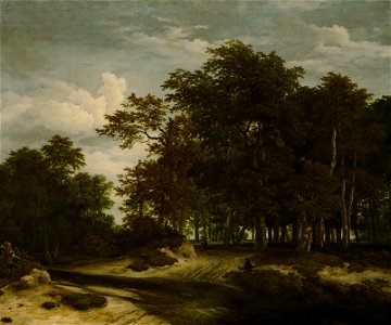 Jacob van Ruisdael - The Great Forest - Google Art Project