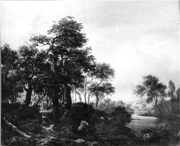 Jacob van Ruisdael - A wooded river landscape with a low waterfall