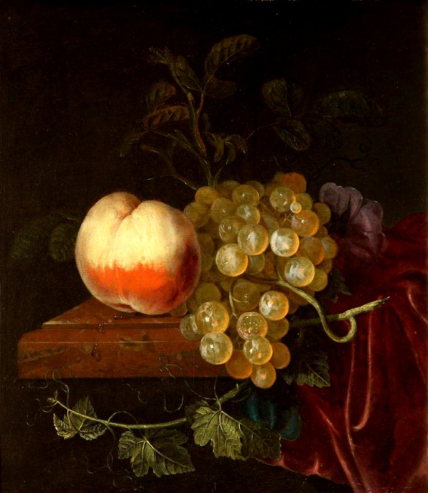 Jacob van Walscapelle (1644-1727) - A Peach and Grapes on a Ledge - 724333 - National Trust
