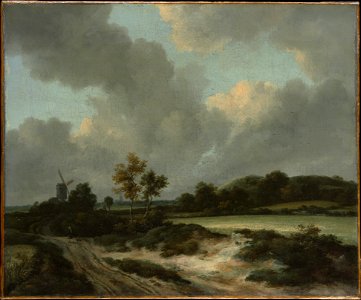 Jacob van Ruisdael - Grainfields