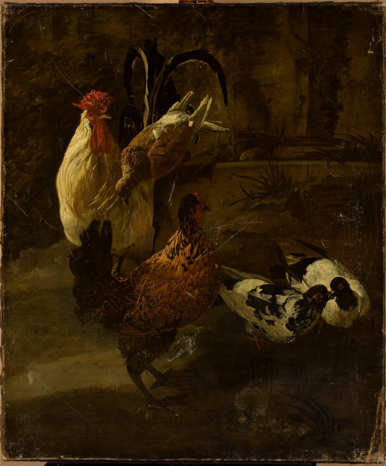 Jacomo Victors - Domestic fowls - M.Ob.1689 MNW - National Museum in Warsaw