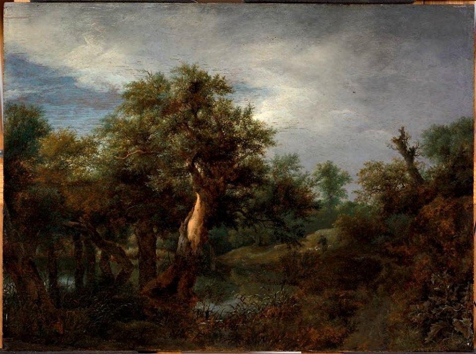 Jacob van Ruisdael - Wooded Landscape with an Old Oak - 1966.32 - Fogg Museum