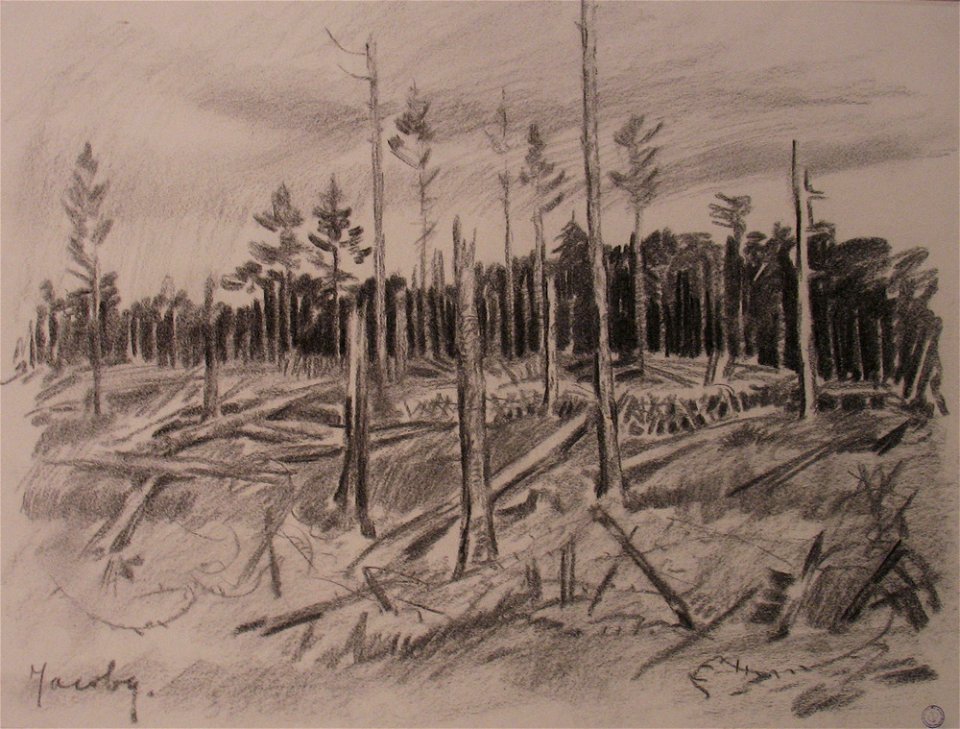 Jacoby, Une forêt après la bataille